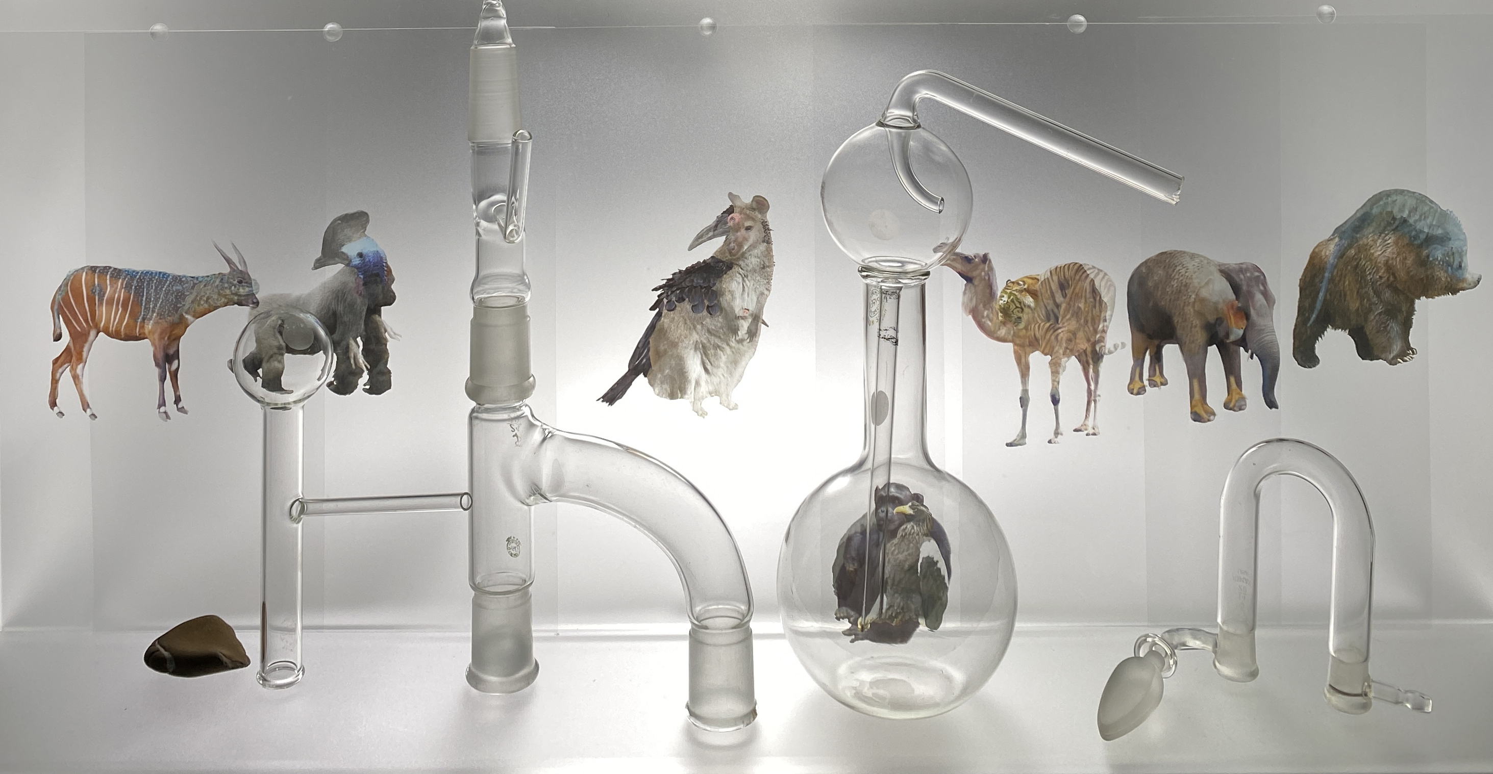"My Alchemy", (Detail), Dana Freeman, glass, photographs on acetate, plexiglass